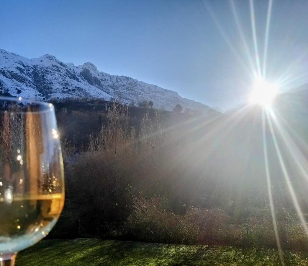 Apartamento Llar Del Cares Arenas De Cabrales Dış mekan fotoğraf